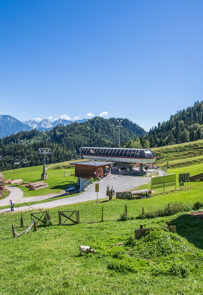 Bergstation 4er-Sesselbahn Erlebnisberg Oberaudorf Hocheck mit Tiergehege
