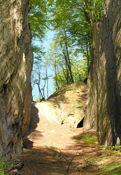 Wolfsschlucht