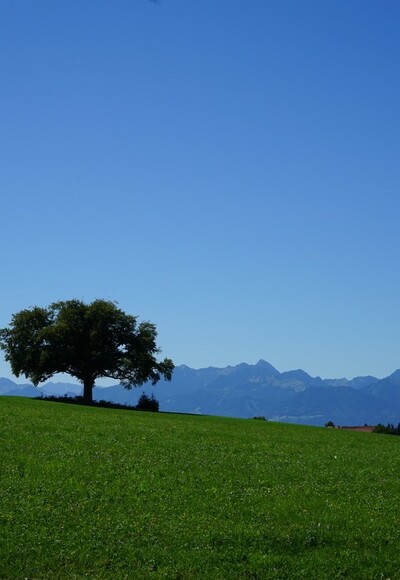 Blick in die Mangfalltaler und Inntaler Berge von Bergham