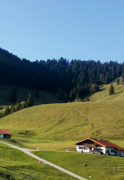 Daffnerwald Almen unterhalb der Wasserwand