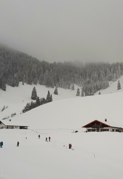 Heuberg Almen - auch genannt Daffnerwald Almen im Winter