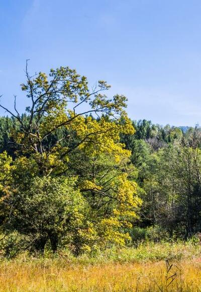 Radeln rund um Pfaffing