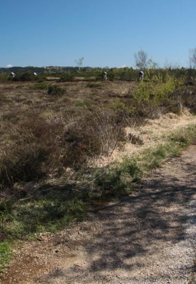 Rätseltafel neben dem Pfad