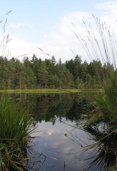 "Grundloser See" bei Gstadt