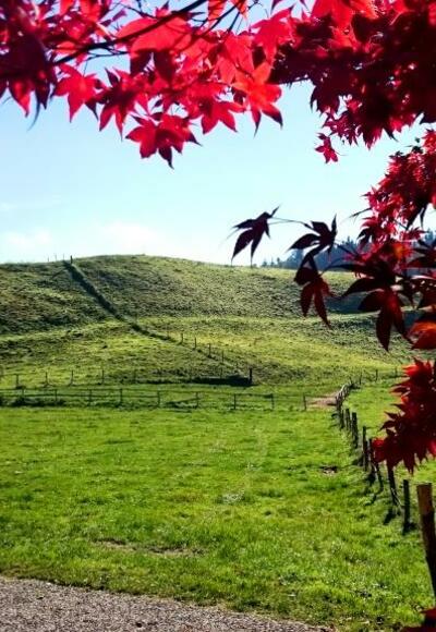 Wandern durch den kleinen &quot;Pfaffenwinkel&quot;
