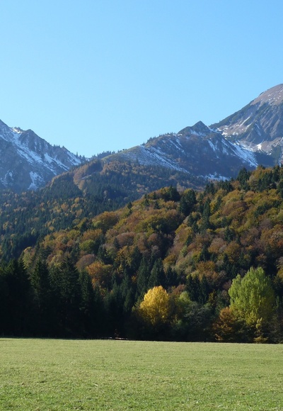 Ettenhausen