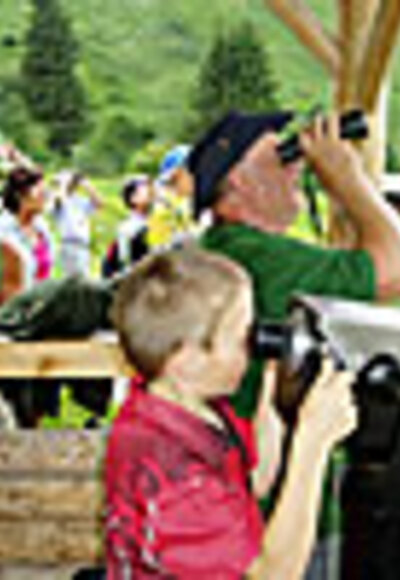 Wildtierbeobachtungsstand Fallerschein