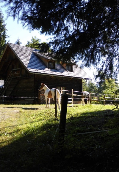 Werfneralmhütte