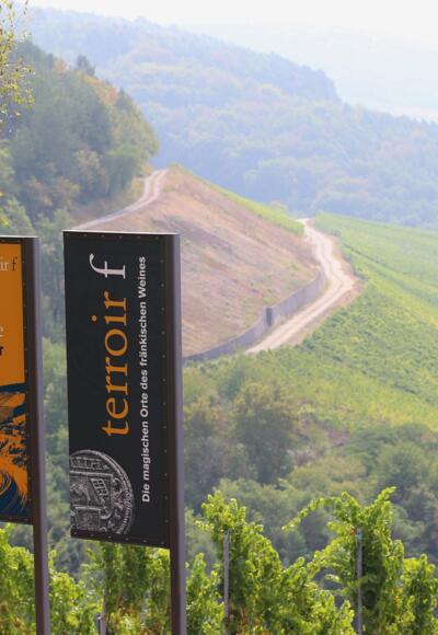 Weinsicht am Aussichtspunkt „terroir f Stetten“
