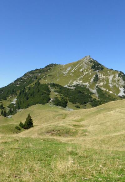 Obere Wiese