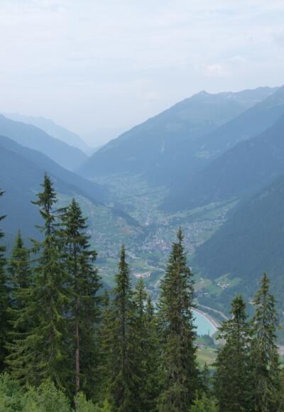 Tromenier