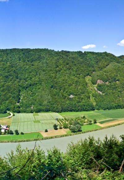 Jochenstein