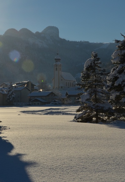 Unken im Winter