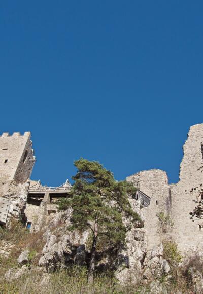 Burgruine Weißenstein