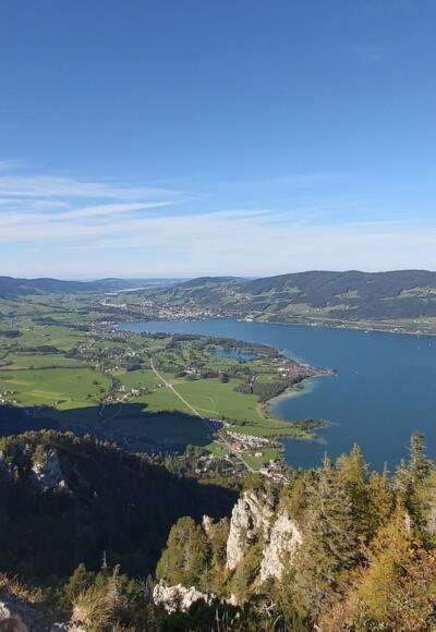 Ausblick vom Almkogel auf den Mondsee