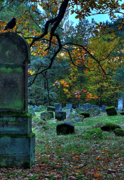 Jüdischer Friedhof (B. Steiner)