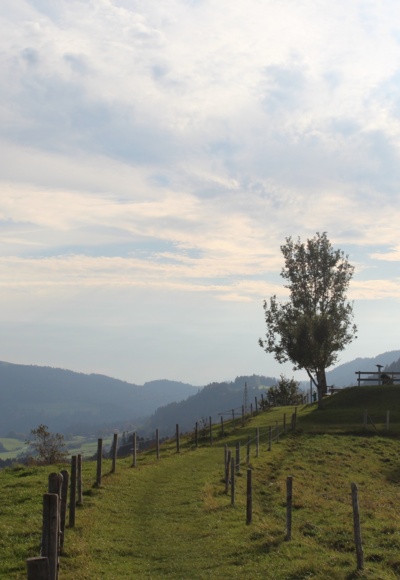 Aussicht vom Roderbühl