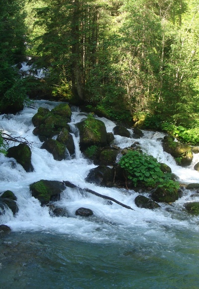 Bachlehrweg am Bach entlang