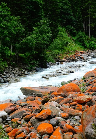 Ein Naturphänomen - die rot gefärbten Steine am Bach