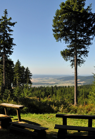 Aussicht vom Blessberg