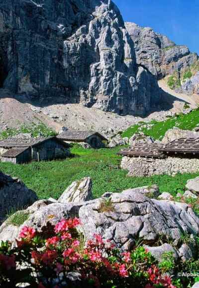 Auf der Alm im Alpbachtal
