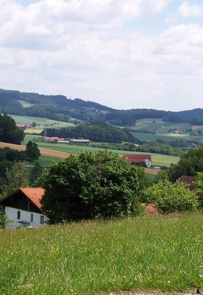 Blick vom Schellenberg