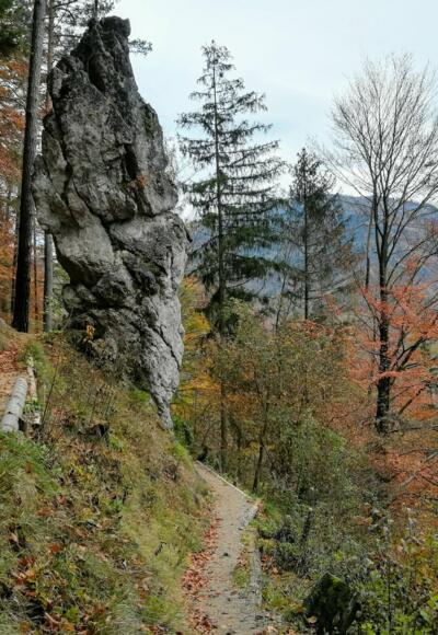 Naturschutzgebiet Kreuzberg in Weyer