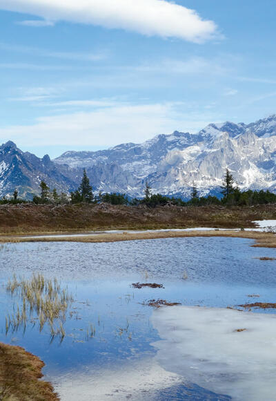 Herbststimmung „Schwarze Lacke“, Gerzkopf