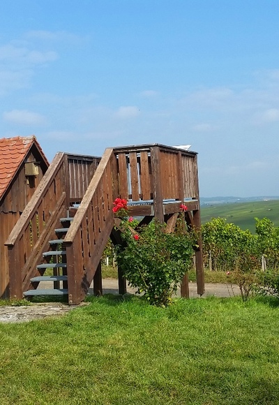 Bester Aussichtspunkt auf die Weininsel bei Neuses a. Berg