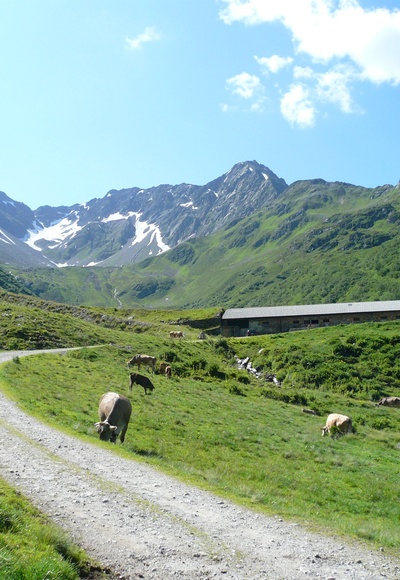 Obere Wasserstubenalpe