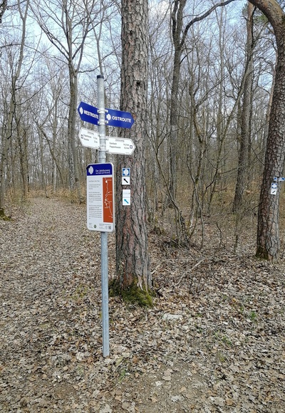 Kreuzung zum "Abzweig Ramsthal"