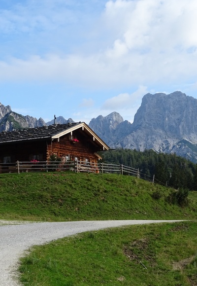 MTB Tour auf die Litzlalm / Gerhardstein