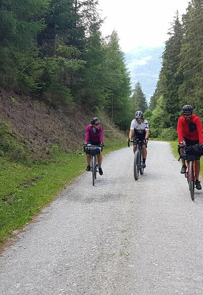Durch den schattigen Wald am Felberberg