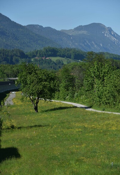 MotivaTOUR Radweg Wiese