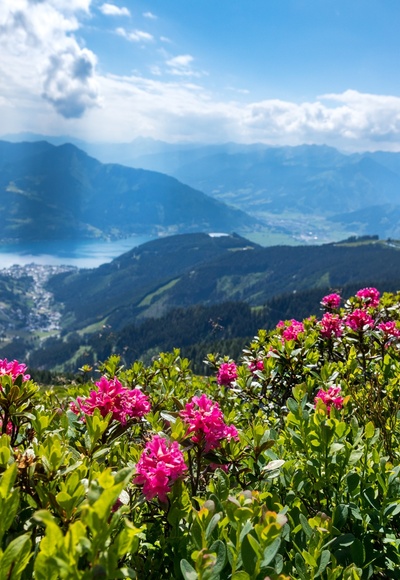 Hohe Tauern Panorama Trail – ET10 Zeller See