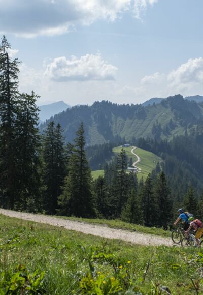 Mountainbiker
