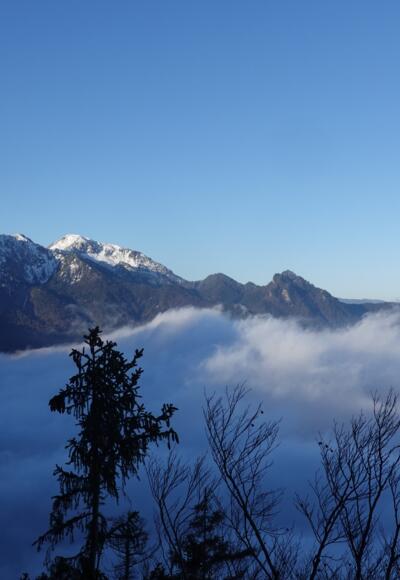 Blick auf Herzogstand im Aufstieg