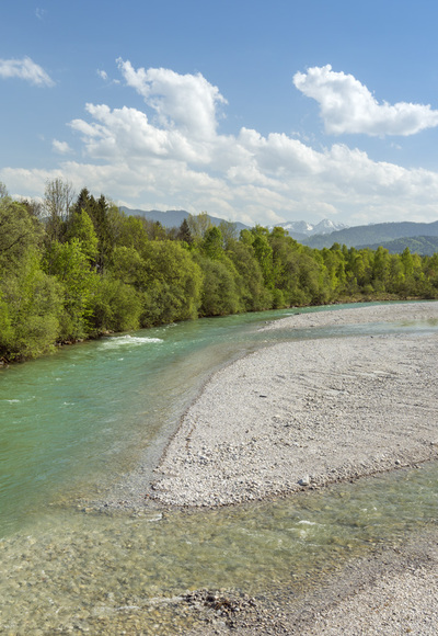 'Wildfluss Isar