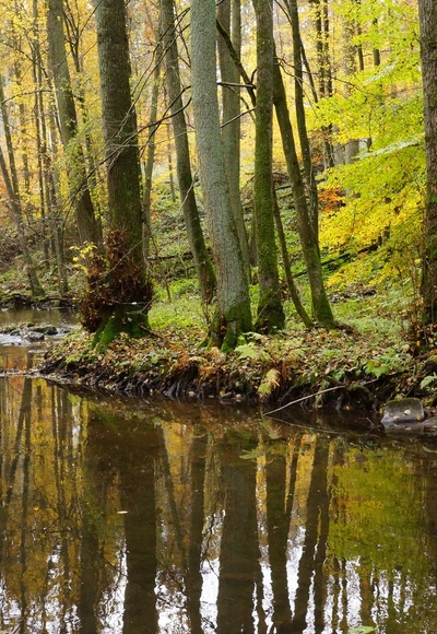 Extratour Thulbataler