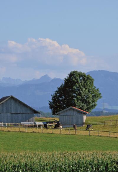 Unterwegs auf dem Sagenhaften Weg