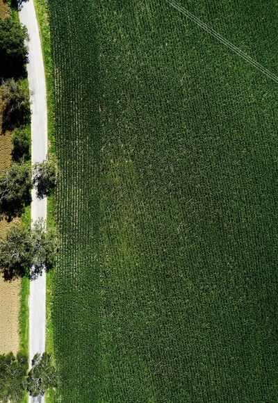 Glückswege - Erkheim - Glücksbaum-Pfad - Wald atmen