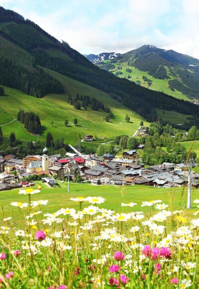 Blick auf Saalbach