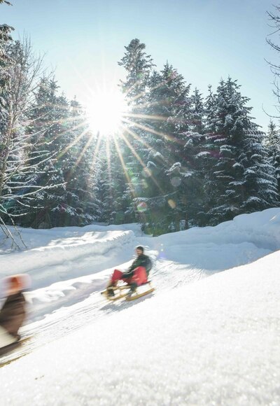 Rodeln in Gmund am Tegernsee
