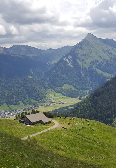 Blick auf die Brendler Alpe