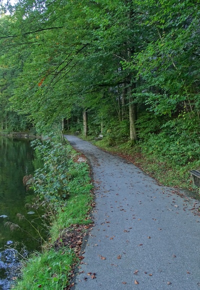 Weg entlang des Mittersees