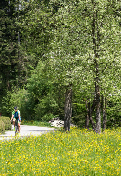 Wallfahrt Radfahrer