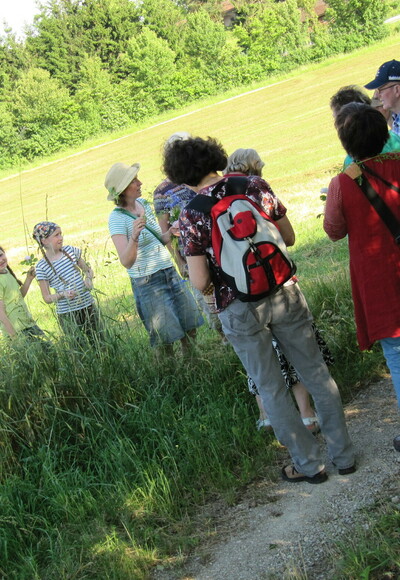 Wald und Wiesen wechseln sich ab