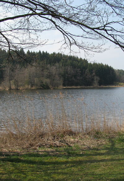 Schleifenroute - Vogt Holzmühlweiher