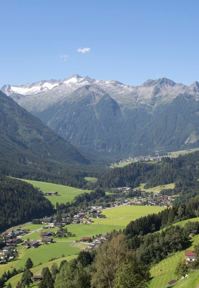 Wald im Pinzgau