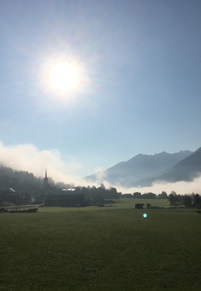 Wald im Pinzgau